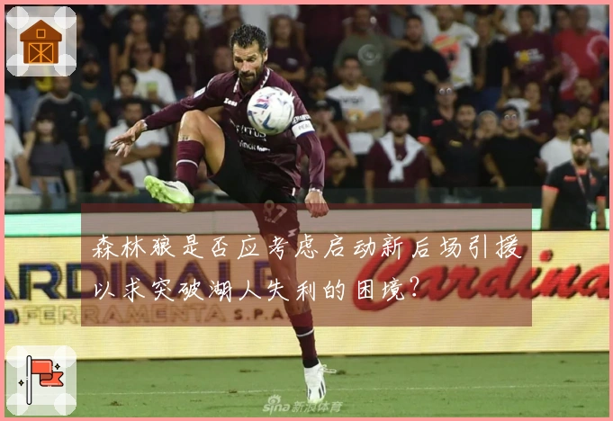 森林狼是否应考虑启动新后场引援以求突破湖人失利的困境？