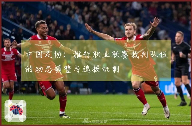 中国足协：推行职业联赛裁判队伍的动态调整与选拔机制
