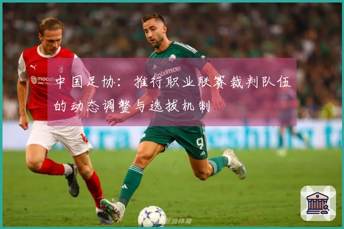 中国足协：推行职业联赛裁判队伍的动态调整与选拔机制