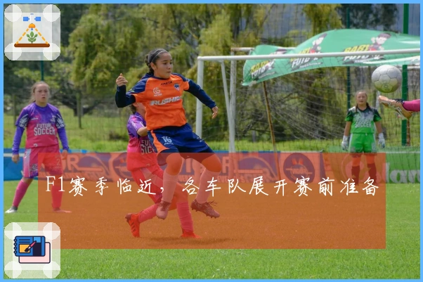 F1赛季临近，各车队展开赛前准备
