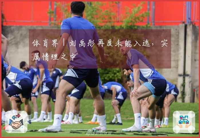 体育界｜刘禹彤再度未能入选，实属情理之中